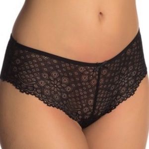 Free Press Flaunt It Sheer Lace Hipster Panties New!